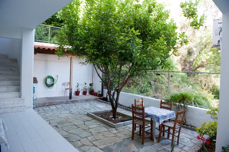 Syraina Apartments Skiathos Exteriér fotografie